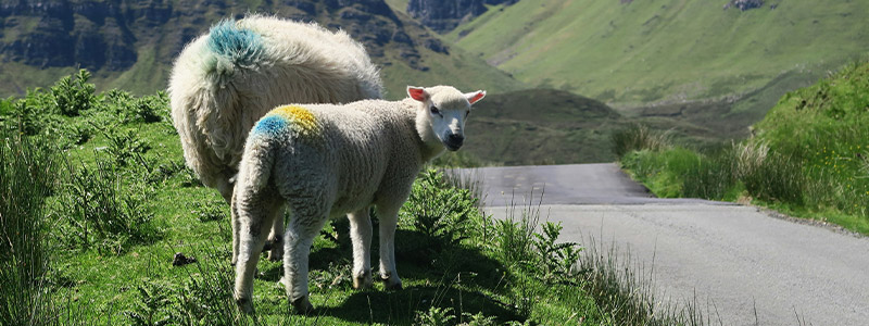 Isle of Skye Today