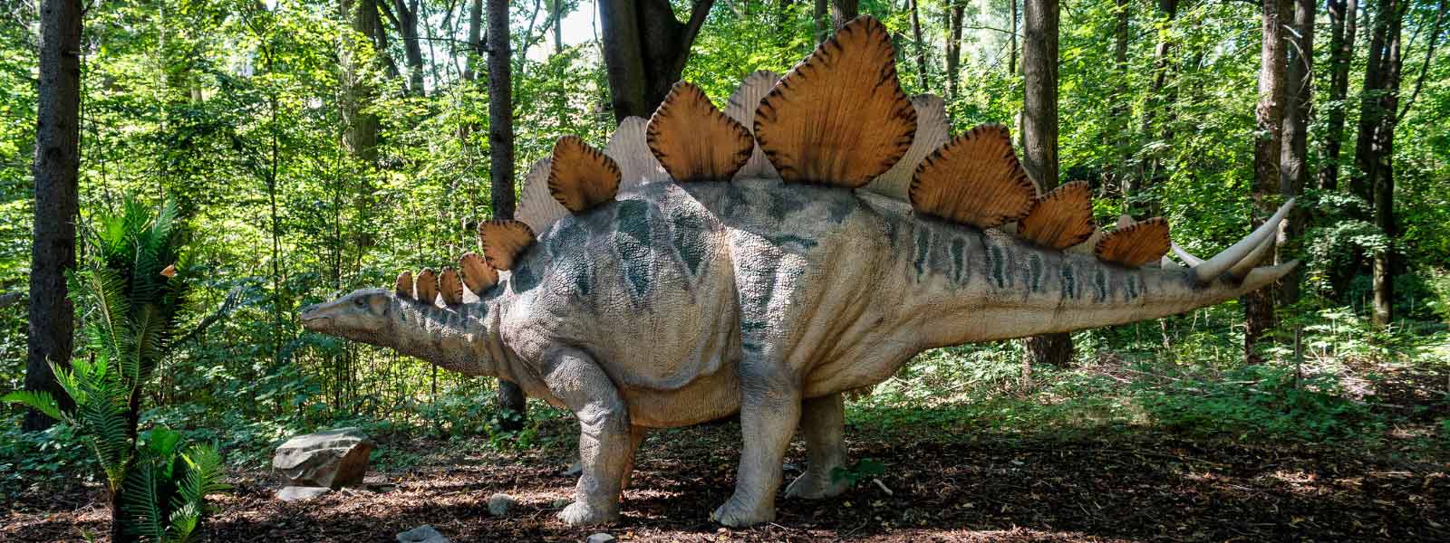 stegosaurus