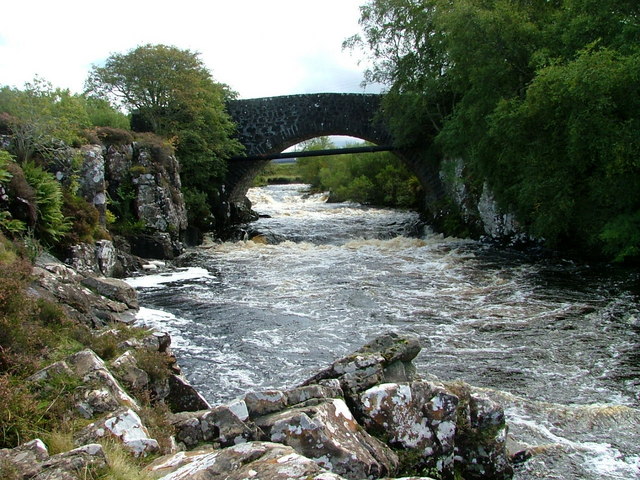 Dave Fergusson